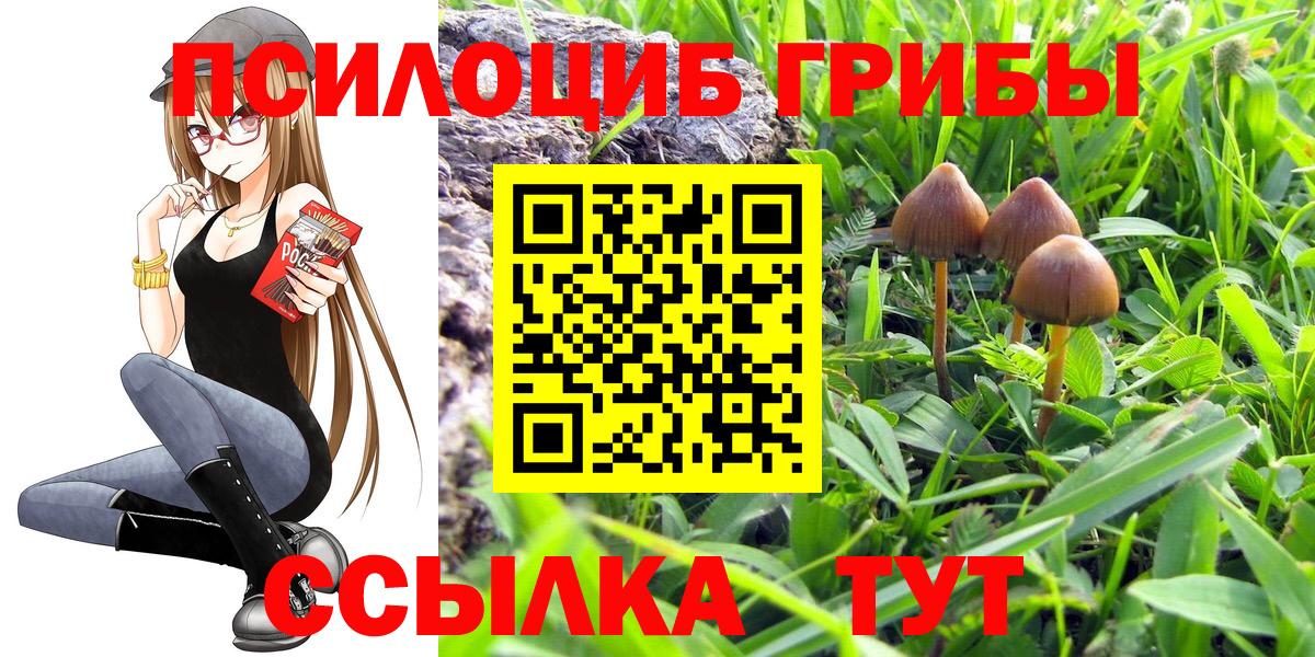 купить наркоту  Вход с VPN  Артём  Галлюциногенные грибы GOLDEN TEACHER 